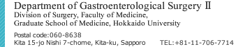 Department of Gastroenterological Surgery Ⅱ Division of Surgery, Faculty of Medicine, Graduate School of Medicine, Hokkaido University